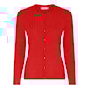 Autumn Red