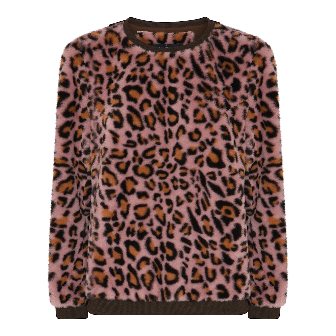 Cat Fur
